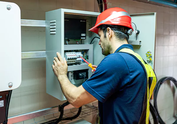 Electrical Panel Upgrade Rogers